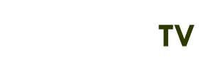 triệu hoán thuật